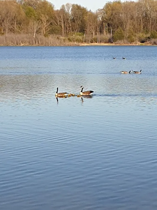 Cade Lake County Park & Campground Picture 2