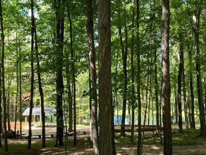 Hamilton Campground Picture 1