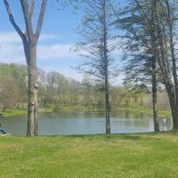 Thornapple Acres Private Camp ico