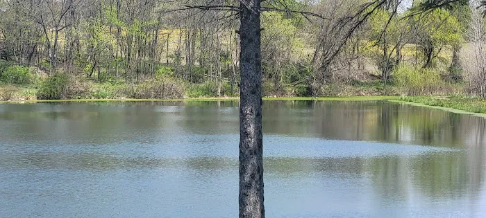 Thornapple Acres Private Camp Picture 2