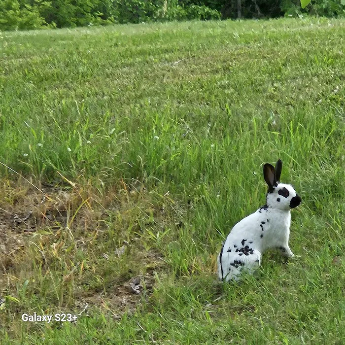 Thornapple Acres Private Camp Picture 5