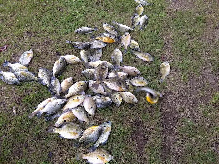 Rivergate Family Campground Picture 10