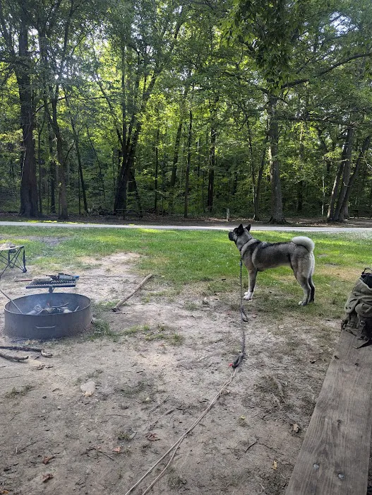 Chain O’ Lakes Campground Picture 2