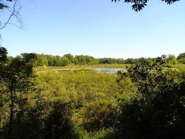 Twin Mills Campground Picture 6