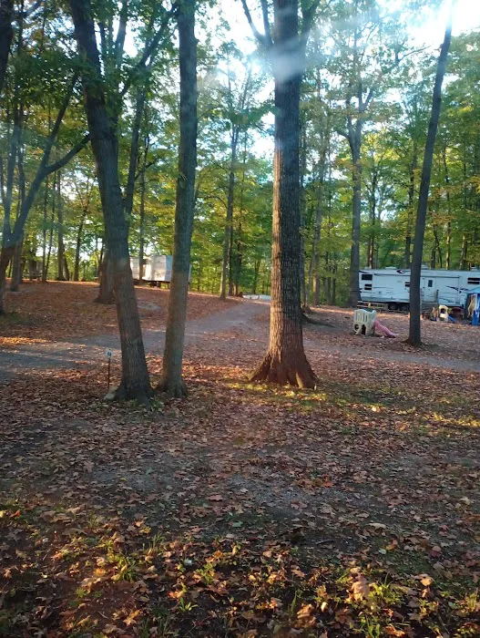 Forest Ridge Family Campground Picture 10