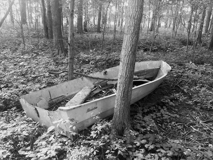 Camp Davis Picture 1