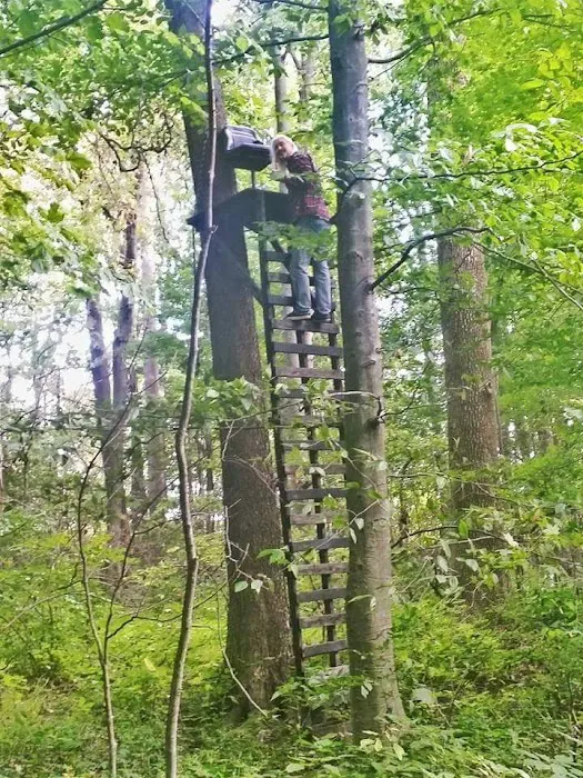 Camp Davis Picture 4