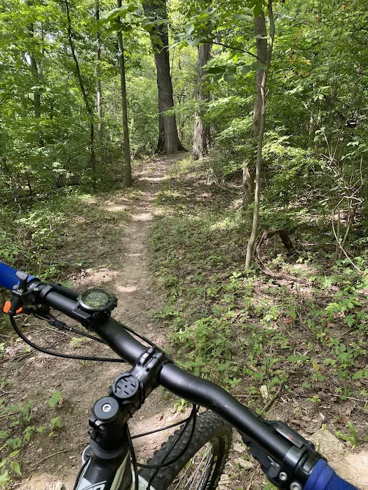 Westwood Park Picture 5