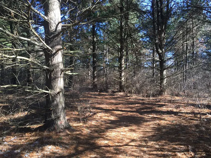 Westwood Park Picture 7