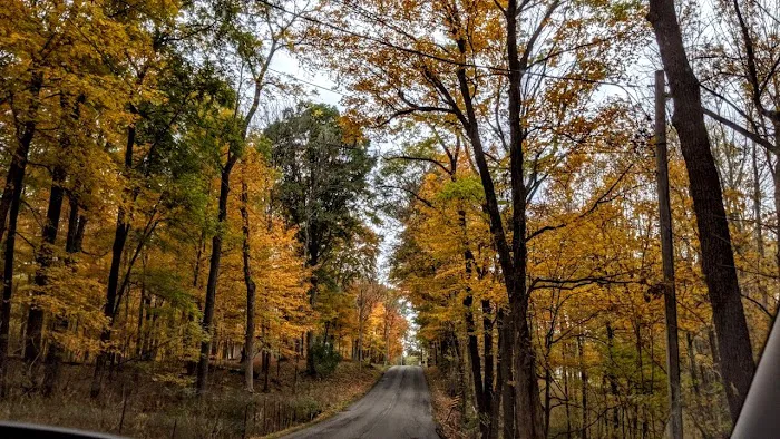 Westwood Park Picture 3