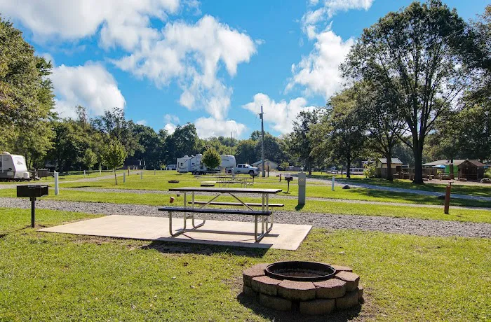 Yogi Bear's Jellystone Park Picture 9