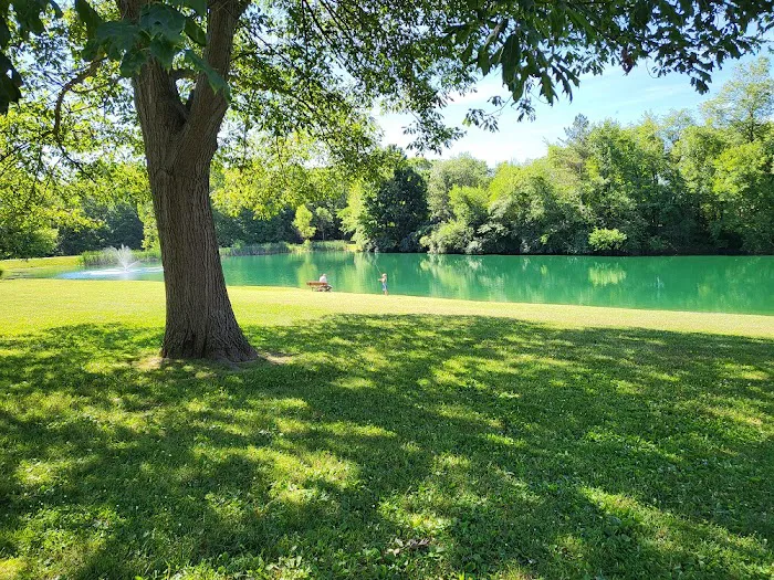 Yogi Bear's Jellystone Park Picture 7