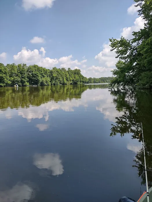 Wood's Campground Picture 3