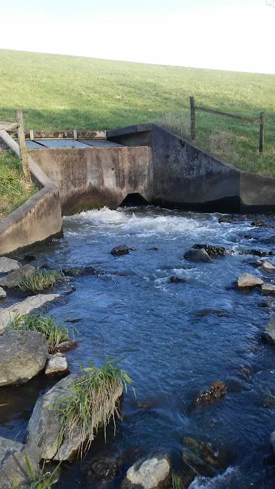 Wood's Campground Picture 10