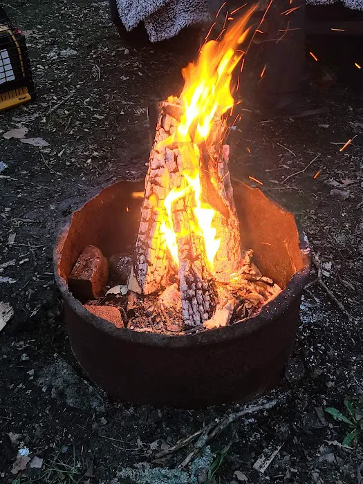 Robinson's Whitewater River Campground Picture 10