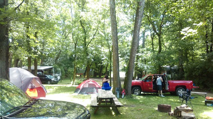 Robinson's Whitewater River Campground Picture 2