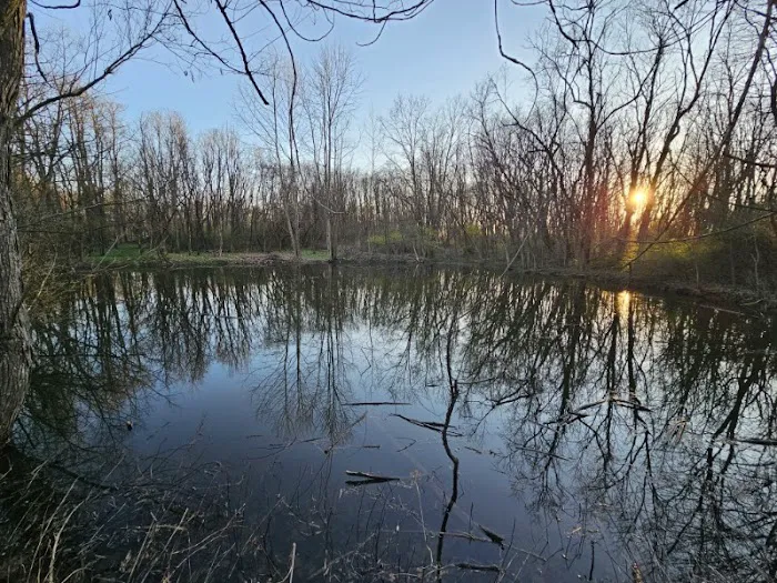 Hodapp Holler Picture 6
