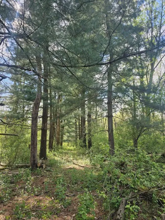 Hodapp Holler Picture 7