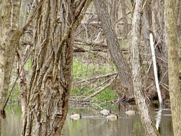 Hodapp Holler Picture 4