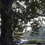 Wake Rider Campground