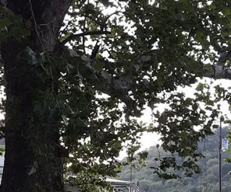 Wake Rider Campground