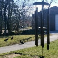 Bourbon Trail Campground ico