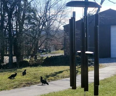 Bourbon Trail Campground