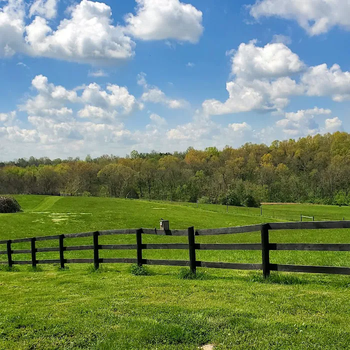 Bourbon Trail Campground Picture 7