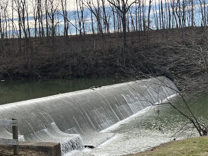 Lake Shelby Picture 10
