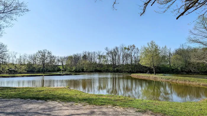Lake Shelby Picture 3