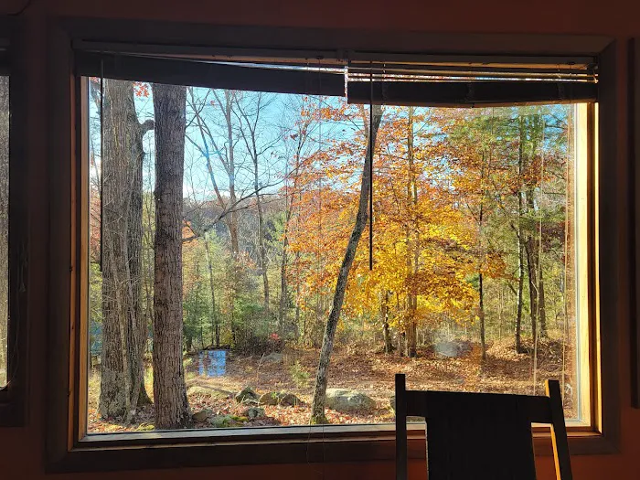 The Aviary Cabin Picture 4