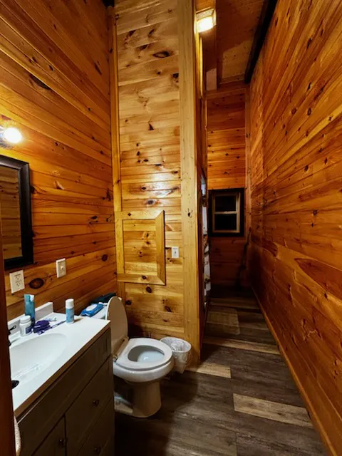 Above the Pines Cabin Picture 5