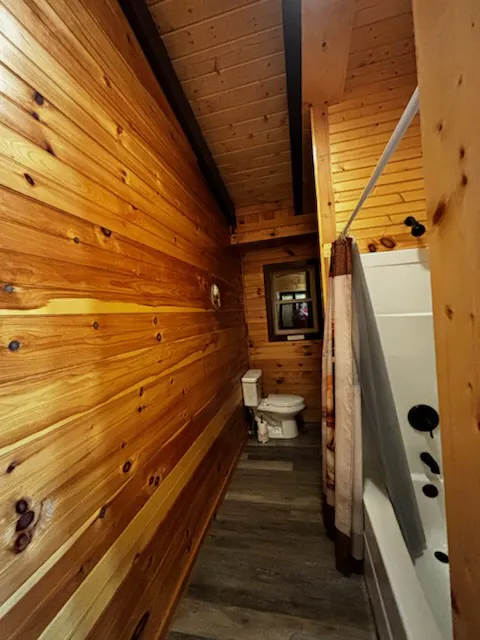 Above the Pines Cabin Picture 2