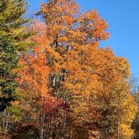 North Indian Creek Campground ico