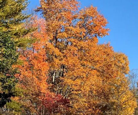 North Indian Creek Campground