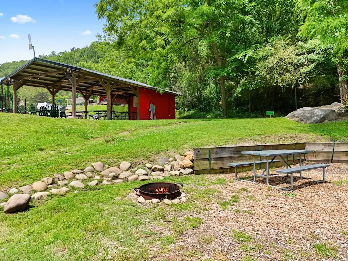 Jonesborough / Cherokee NF KOA Journey Picture 9