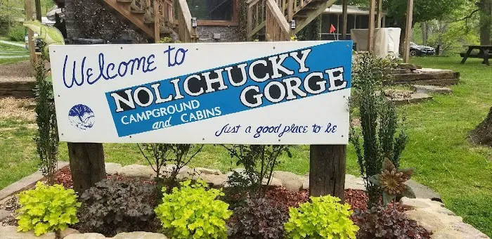 Nolichucky Gorge Campground Picture 8