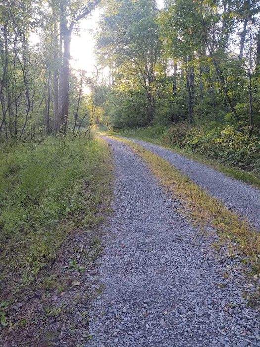 Katy Branch Picture 8