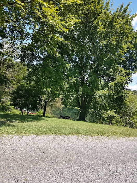 Camp Placid Picture 8