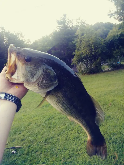 Camp Placid Picture 9