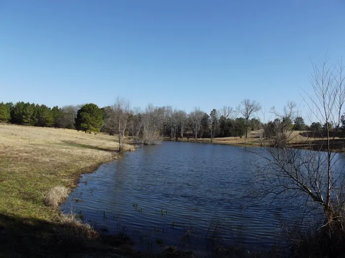 Pond View Campground Picture 7