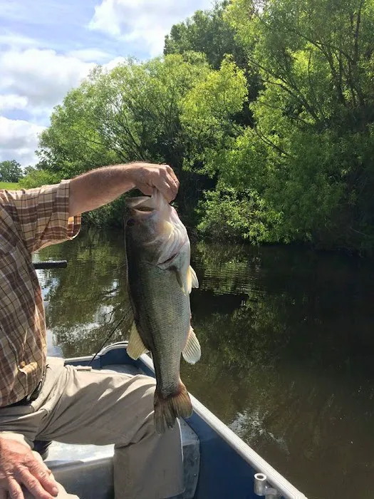 Pond View Campground Picture 8