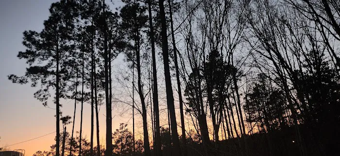 Pumphouse Road RV Park Picture 2