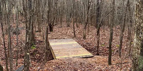 Syc Nature Park (Campground) Picture 2