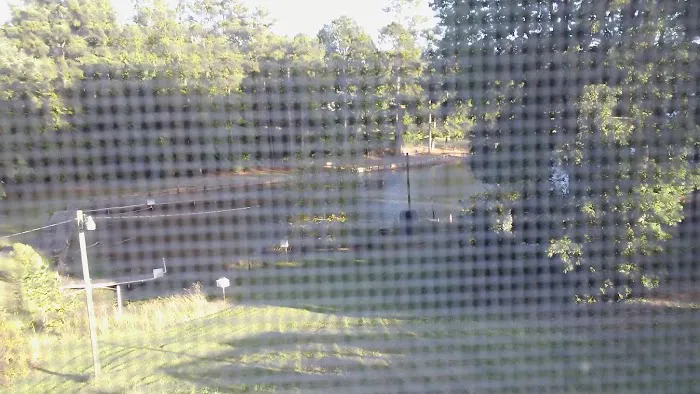 Bg's Campground Picture 7