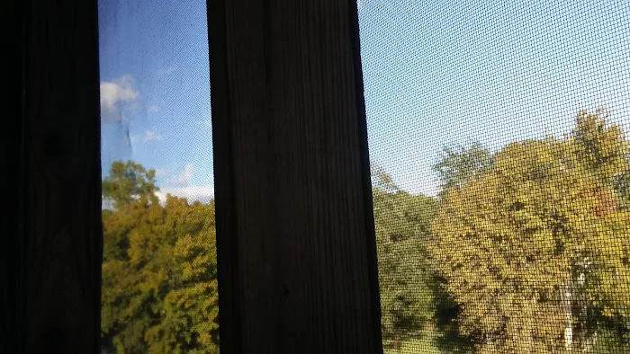 Bg's Campground Picture 1