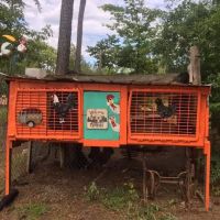 MONTANA AVENUE LAKESIDE CAMPGROUND LLC ico