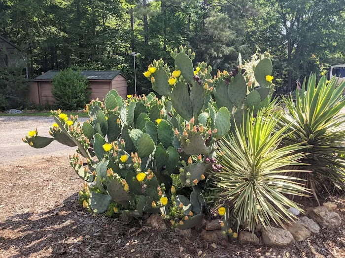 Little Cedar Creek RV Park & Campground Picture 2