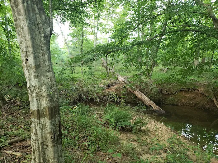 Little Cedar Creek RV Park & Campground Picture 10