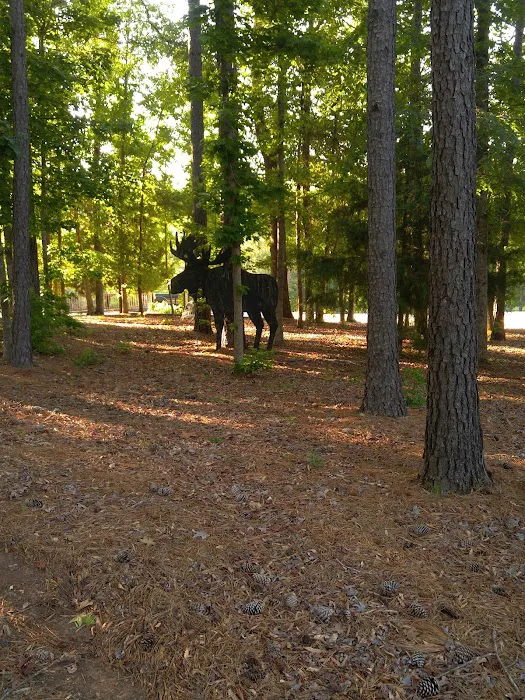 Little Cedar Creek RV Park & Campground Picture 9